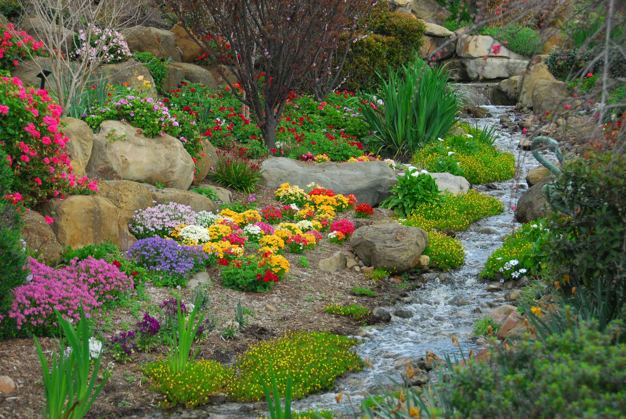 Damp pill bug habitat near water