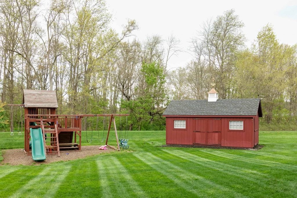 removing bees in backyard