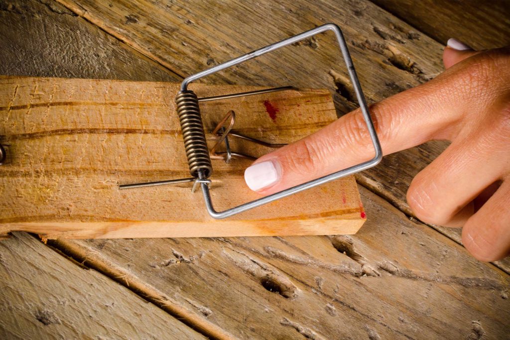 useless diy mouse trap causes pain useless diy mouse trap causes pain