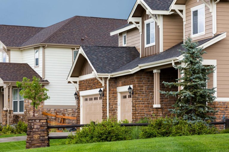 wildlife control for lone tree homes wildlife control for lone tree homes