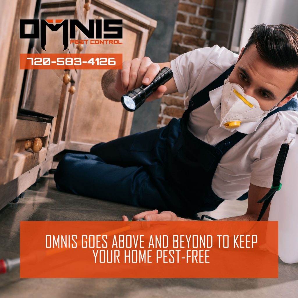 Contact Omnis Pest Control