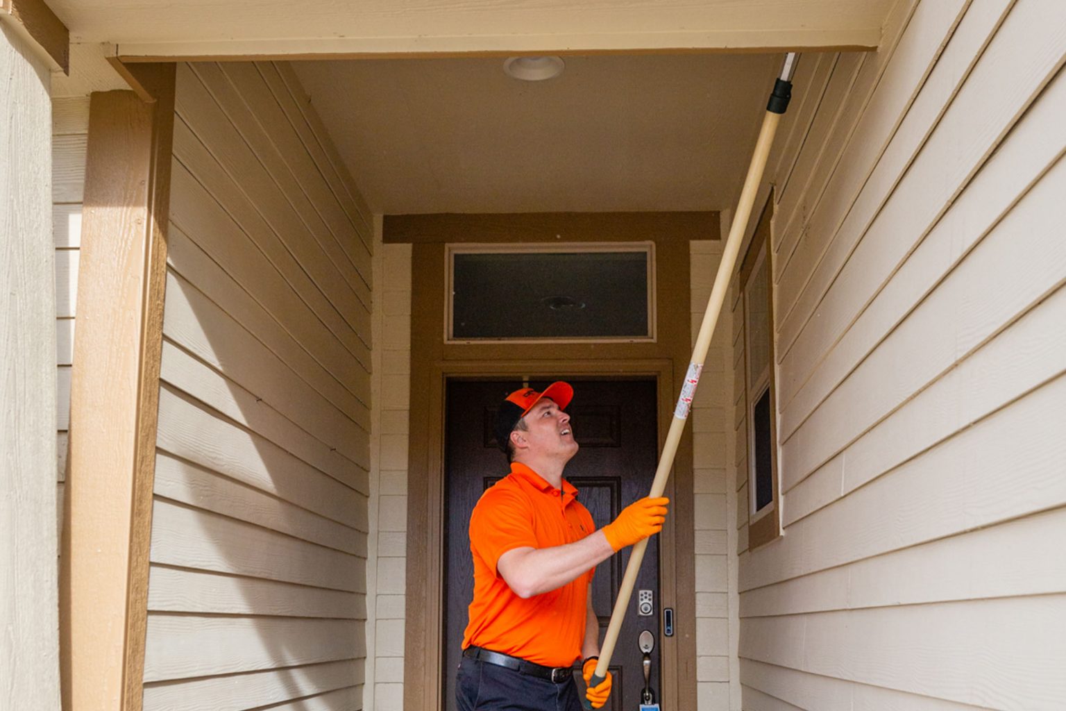 dewebbing removal treatment in Colorado