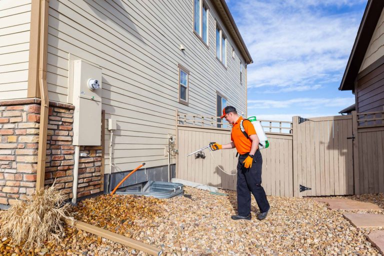 OMNIS Pest Control spraying pesticide on a property OMNIS Pest Control spraying pesticide on a property