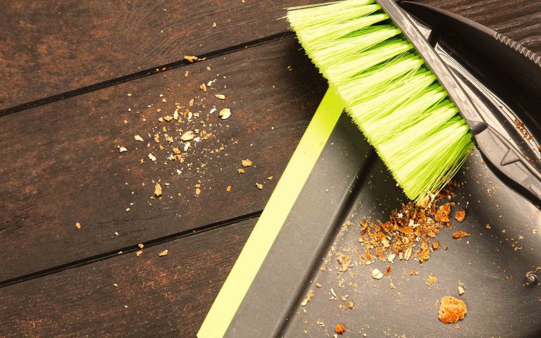 sweep crumbs before atracting ants