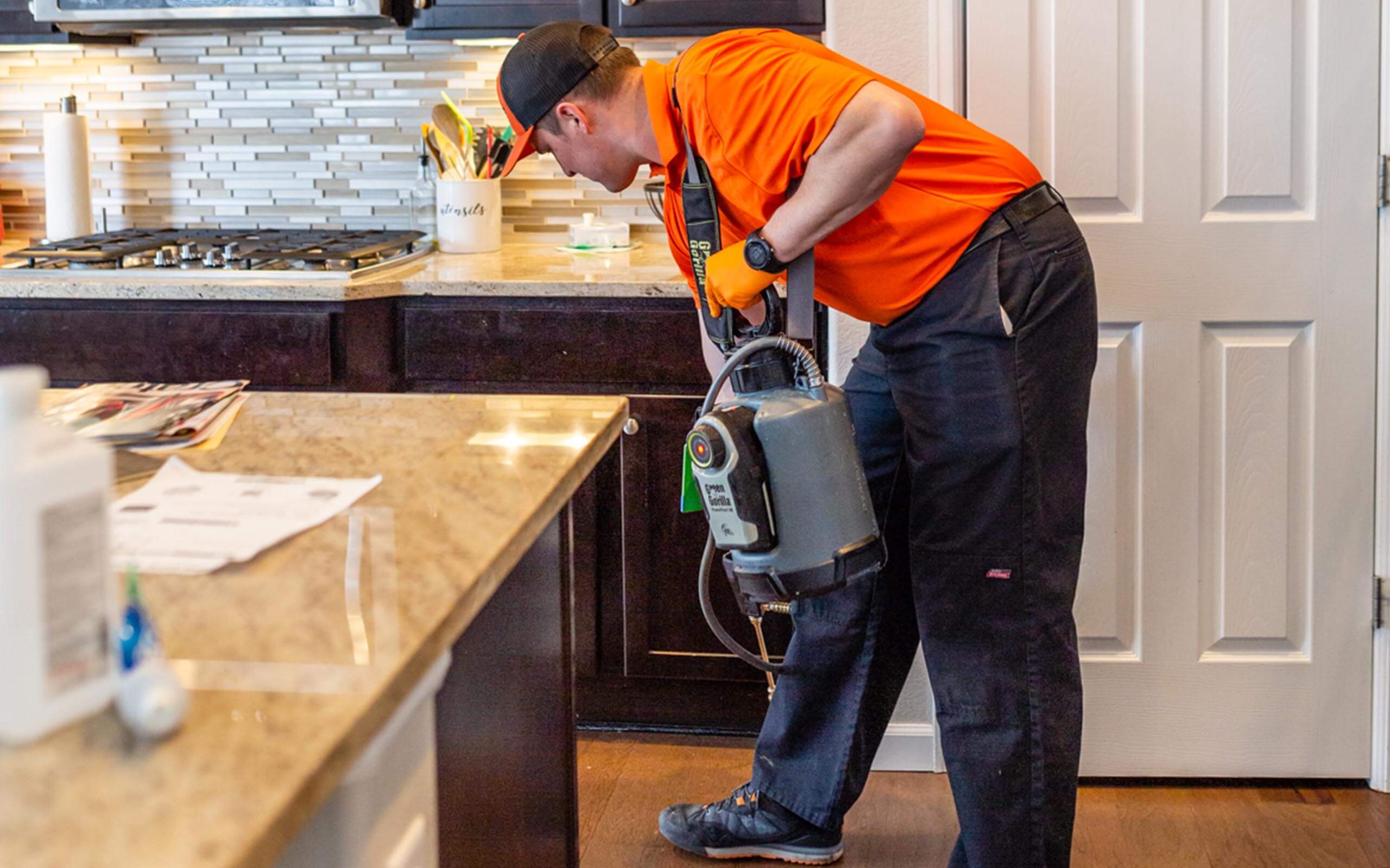 OMNIS Pest Control sprays treatment