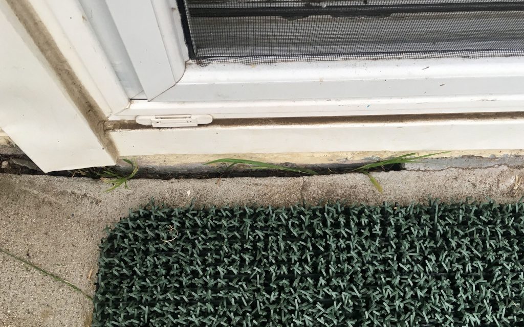 OMNIS Pest Control crack in foundation of home