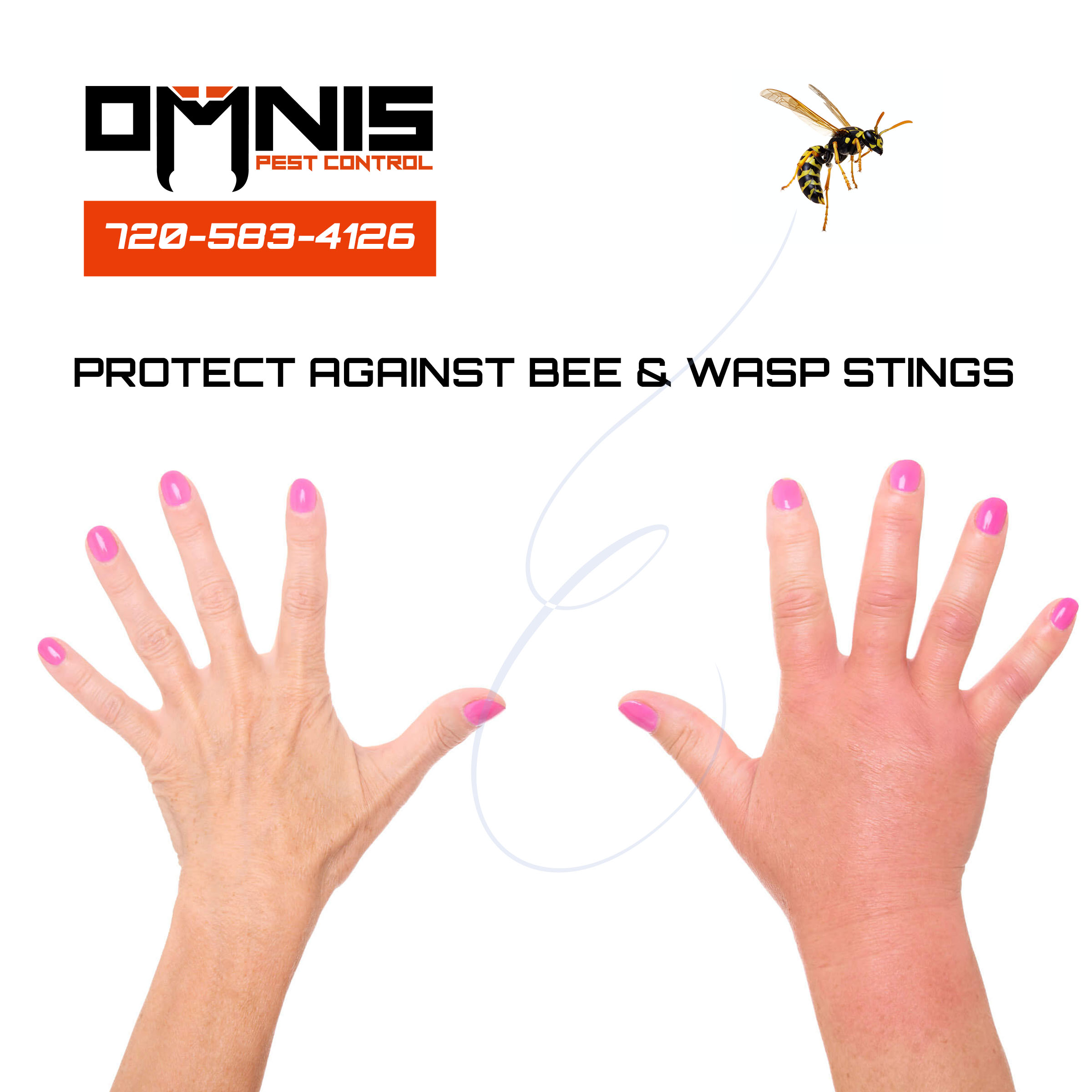 How to Protect Against Bee and Wasp Stings