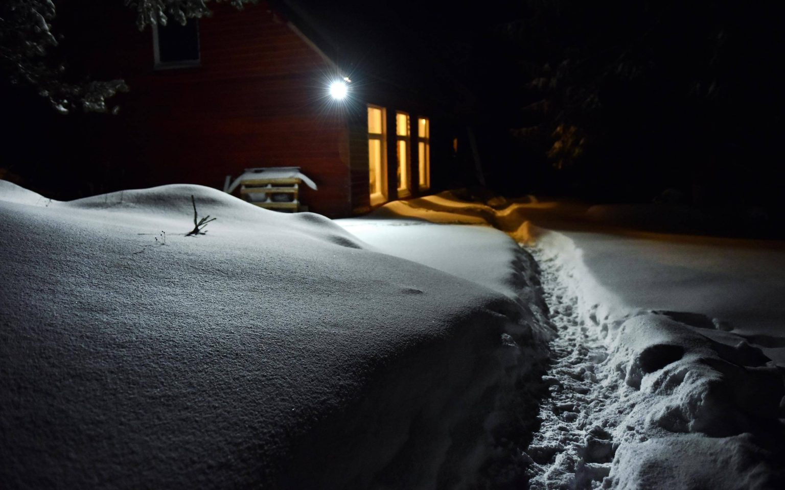 snow covered ground with path leading to a house during nighttime usually when pest damage happens snow covered ground with path leading to a house during nighttime usually when pest damage happens