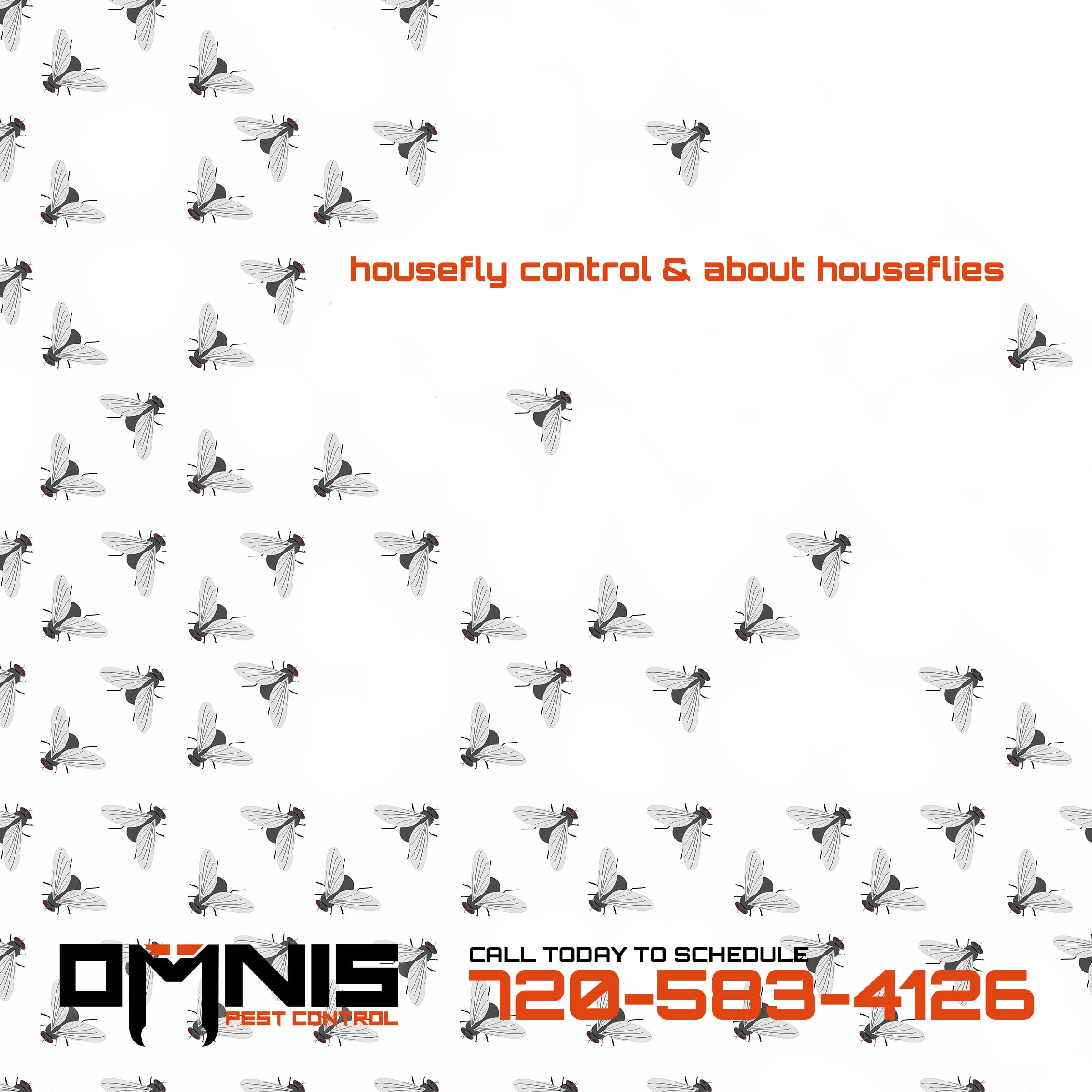 OMNIS Pest Control removing houseflies