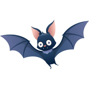 bat illustration