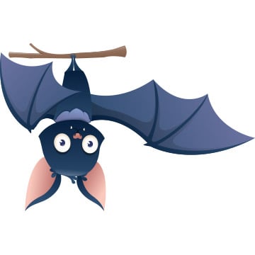 bat illustration