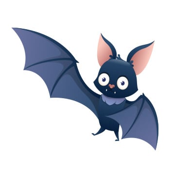 bat illustration