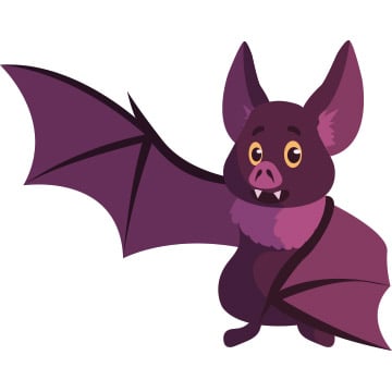 bat illustration