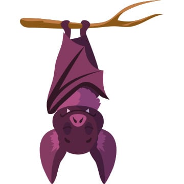 bat illustration