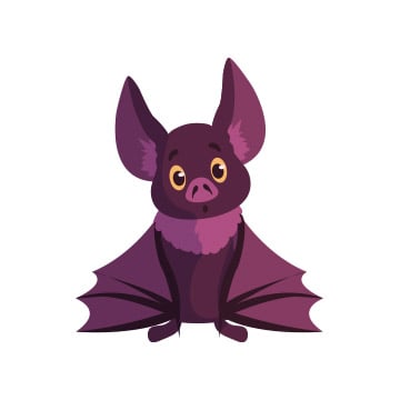 bat illustration