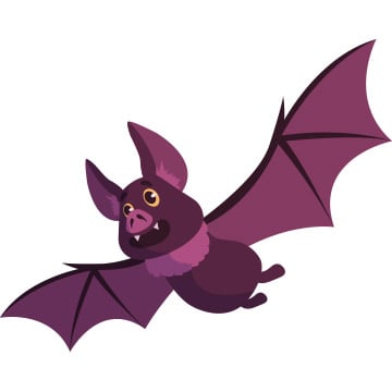 bat illustration