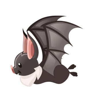 bat illustration