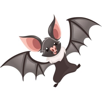 bat illustration