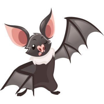 bat illustration