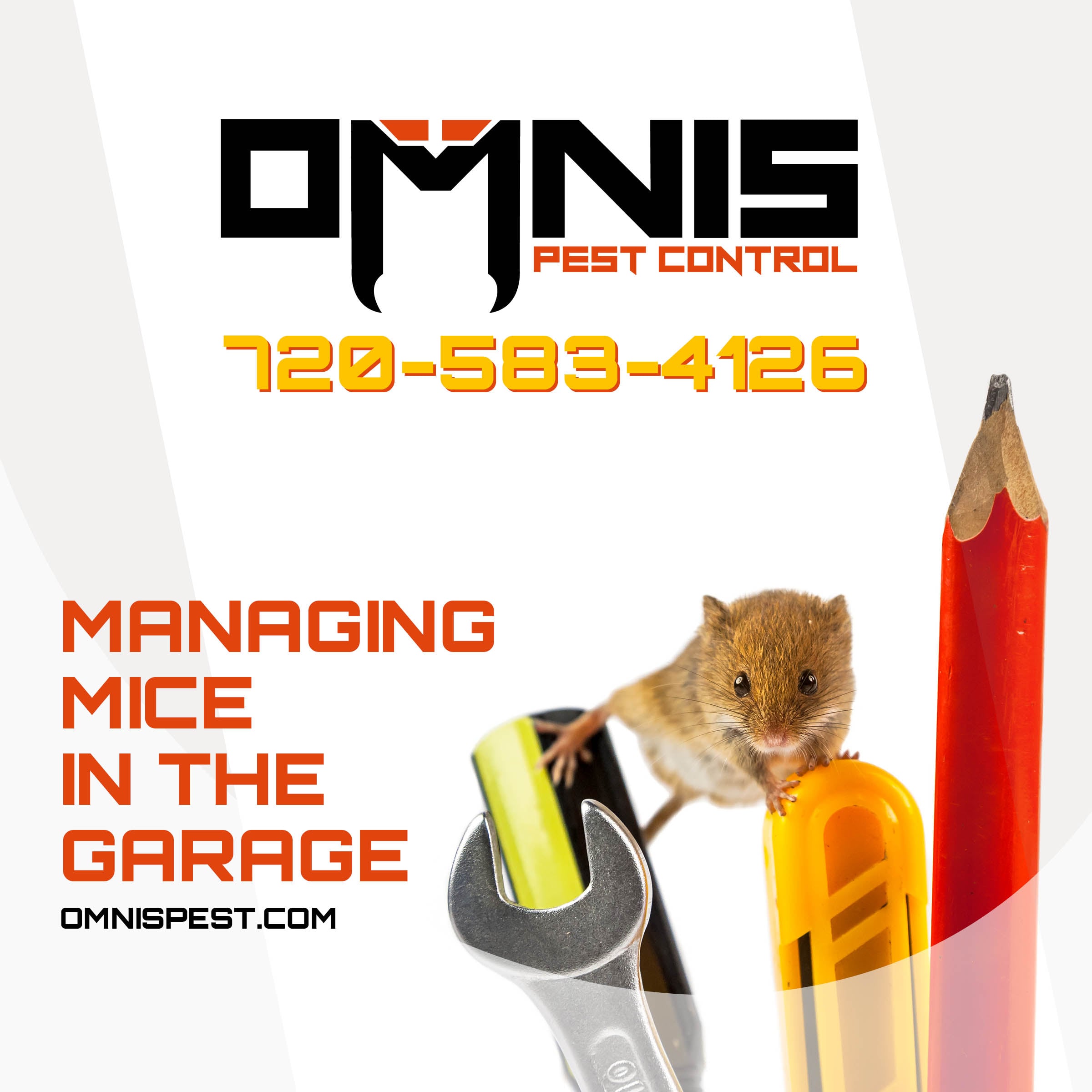 Managing Mice in the Garage