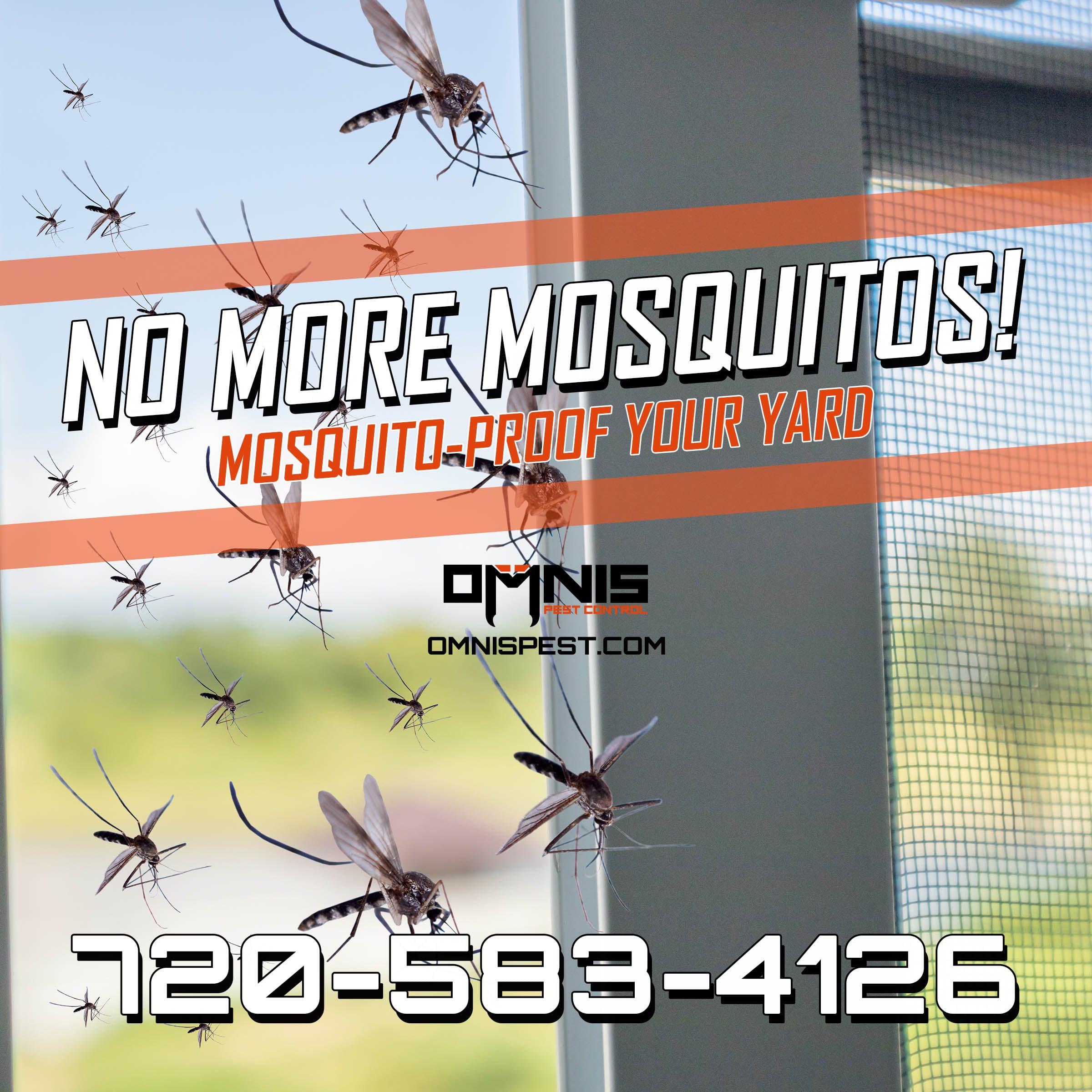 Mosquito-Proof Your Yard