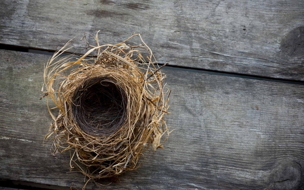empty nest removed from local business