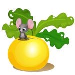 gardens attract rats