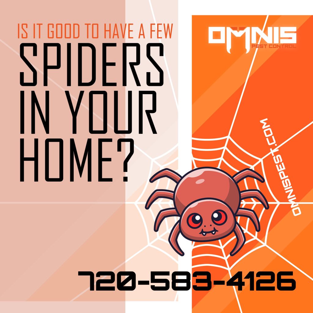 What Pests Do Spiders Prevent?