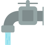 water pipes attract rats