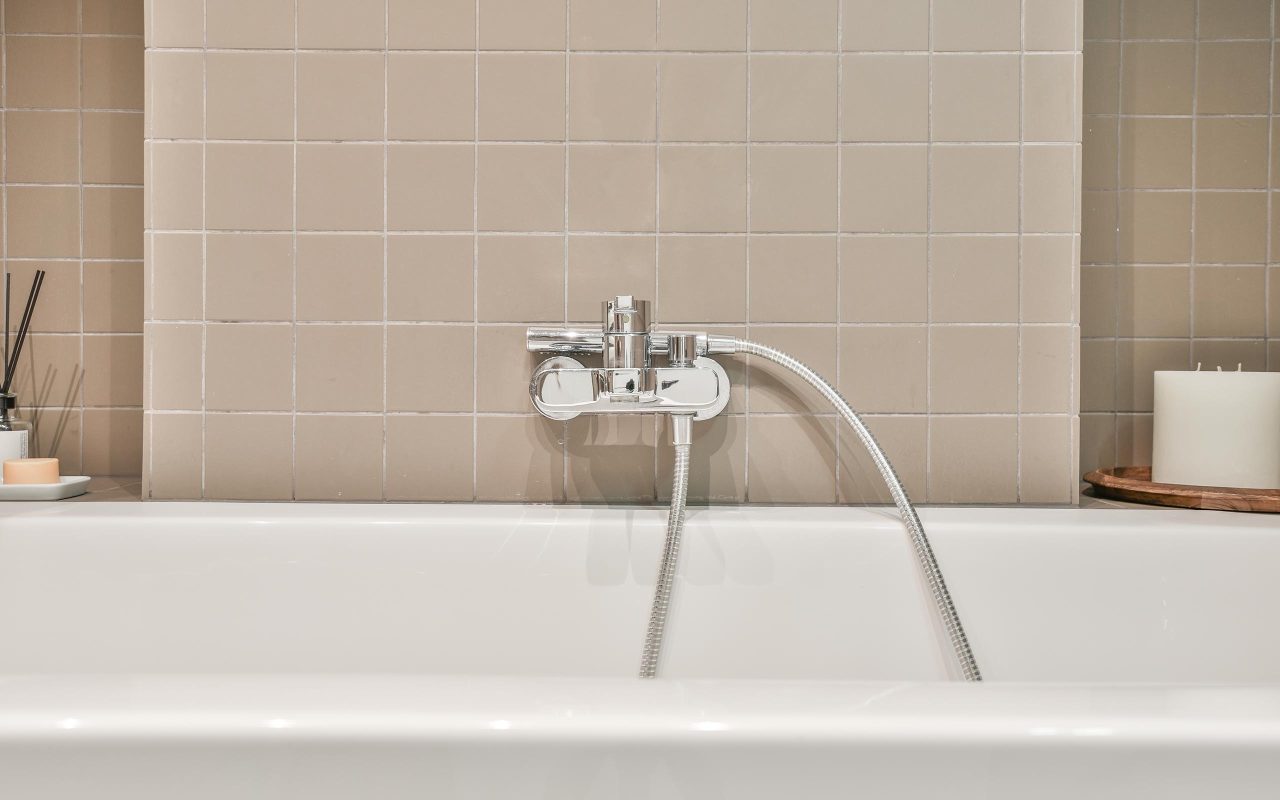 Why Are There Ants in My Bathroom? - OMNIS Pest Control