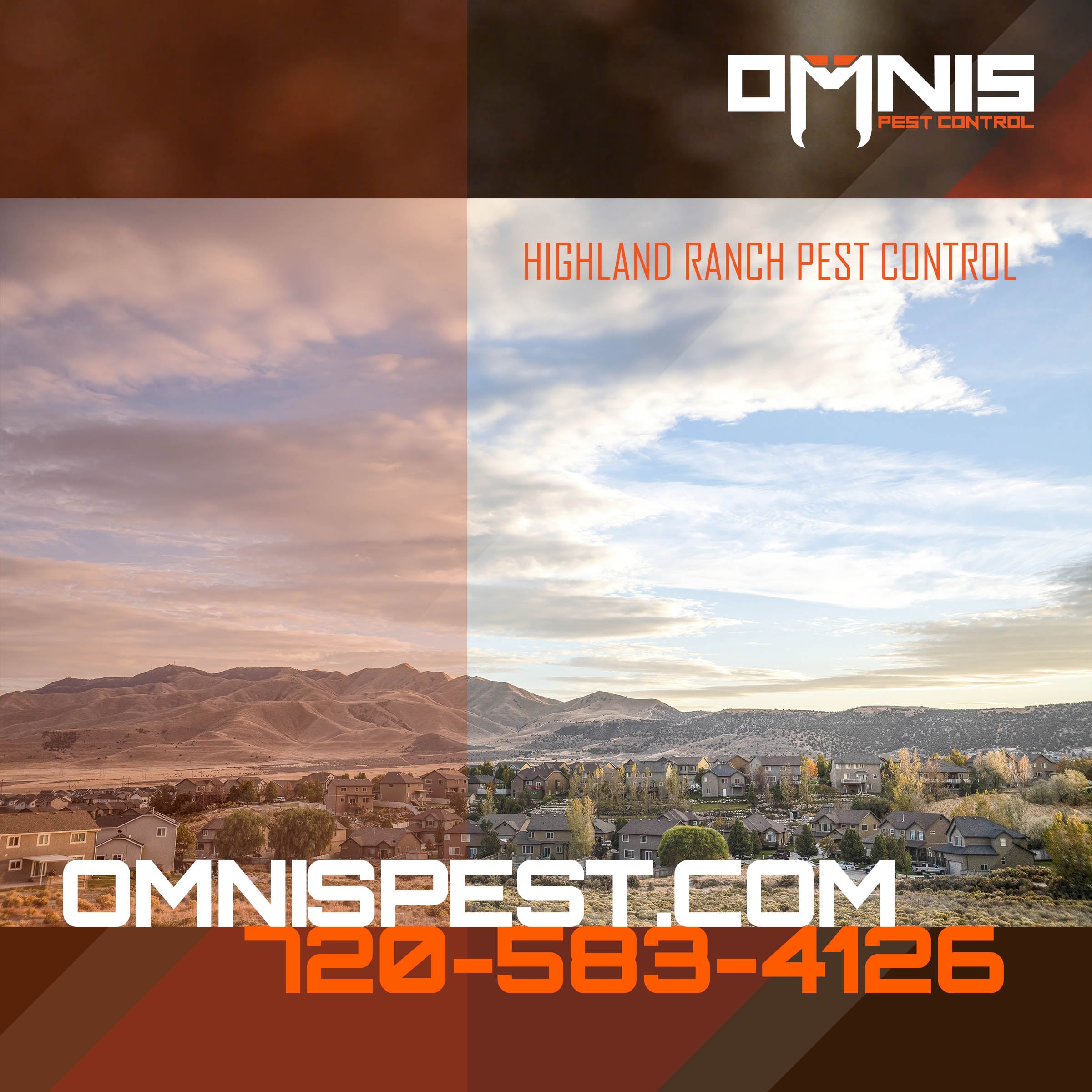 Pest Control in Highlands Ranch