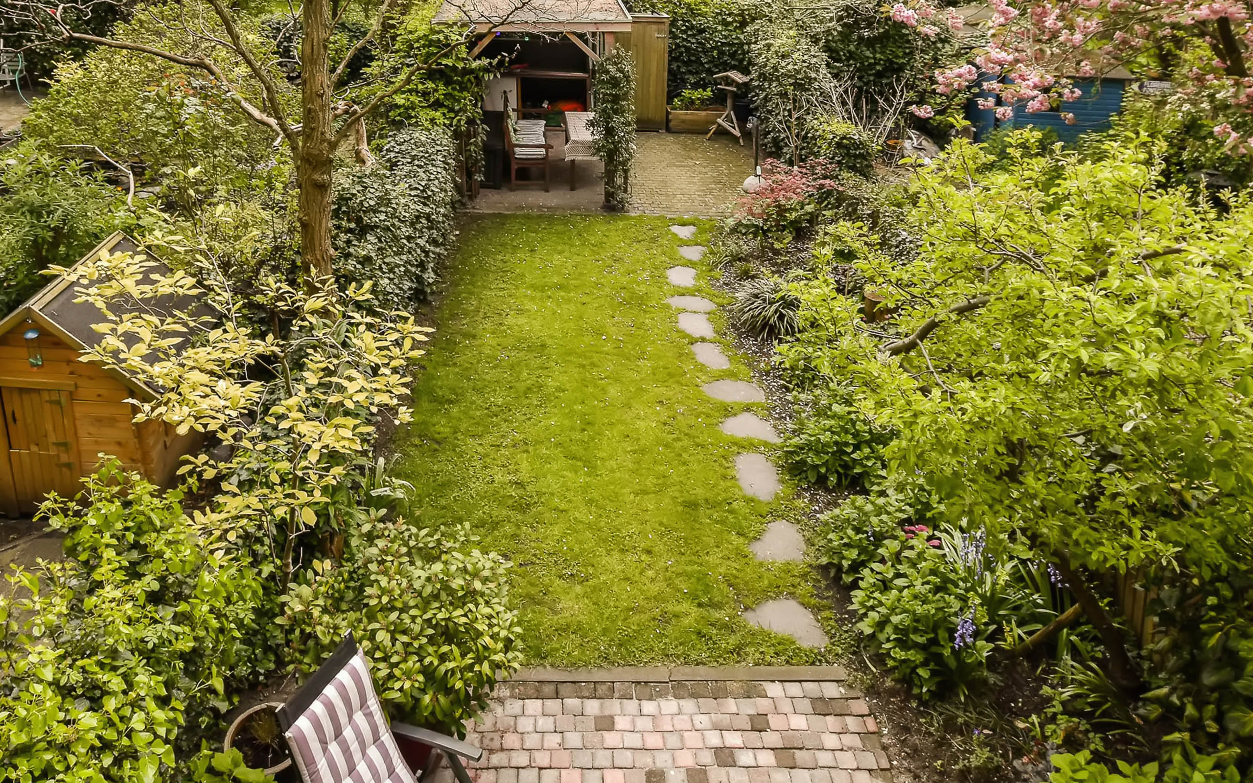 landscaping don'ts for pests, a cluttered backyard