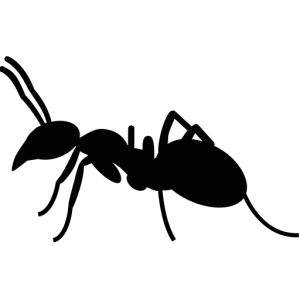 ant pest control for Colorado Springs