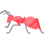 ant removal for Falcon pest control icon