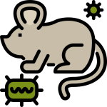 Mice spread illness in your commercial business.  We highly recommended removing mice and ongoing control.