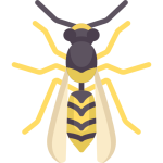 wasp and hornet removal for Fountain pest control