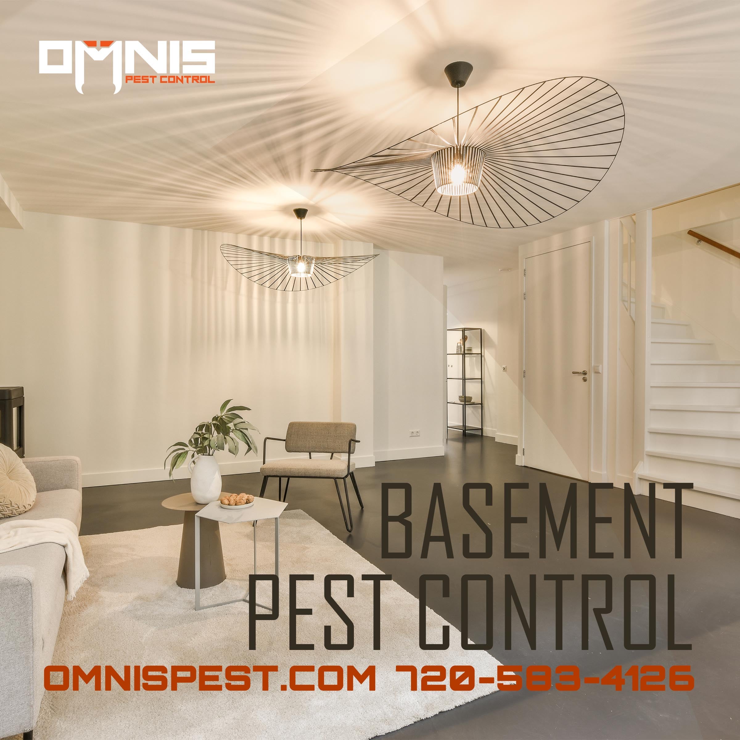 Basement Pest Control