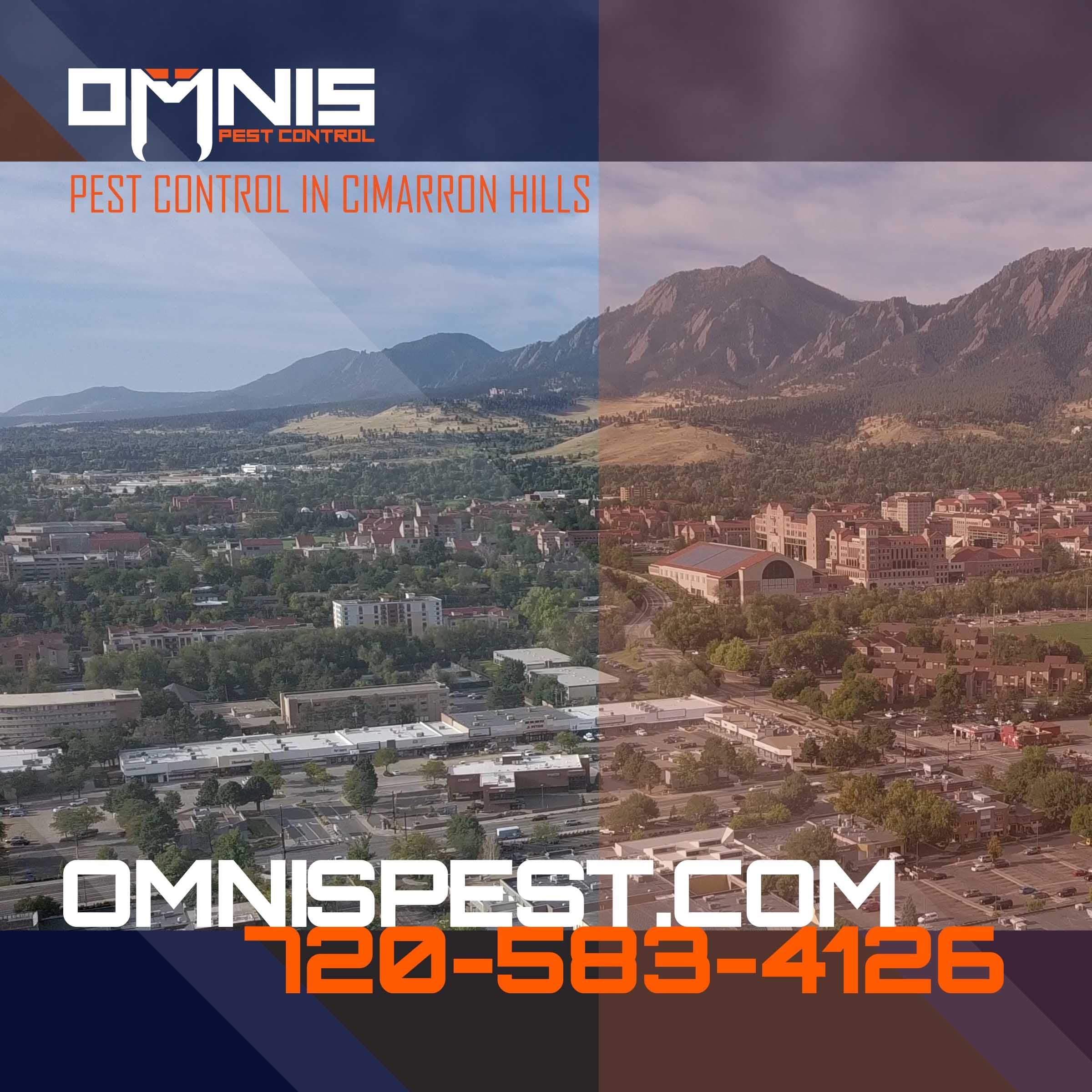 Pest Control in Cimmaron Hills