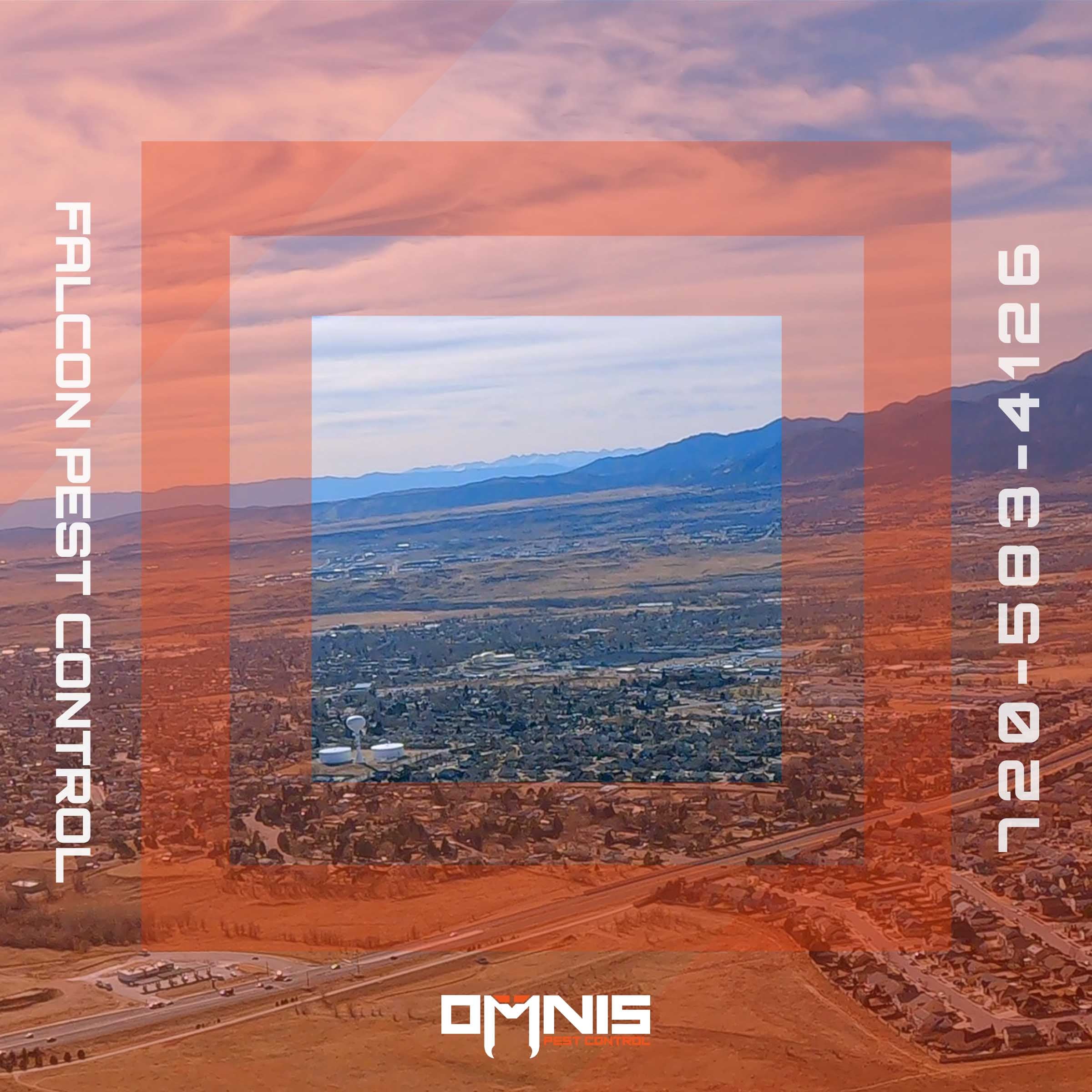 Pest Control in Falcon