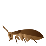 cockroach side view icon for Falcon pest control
