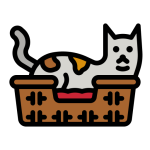 pests are attracted to used pet beds