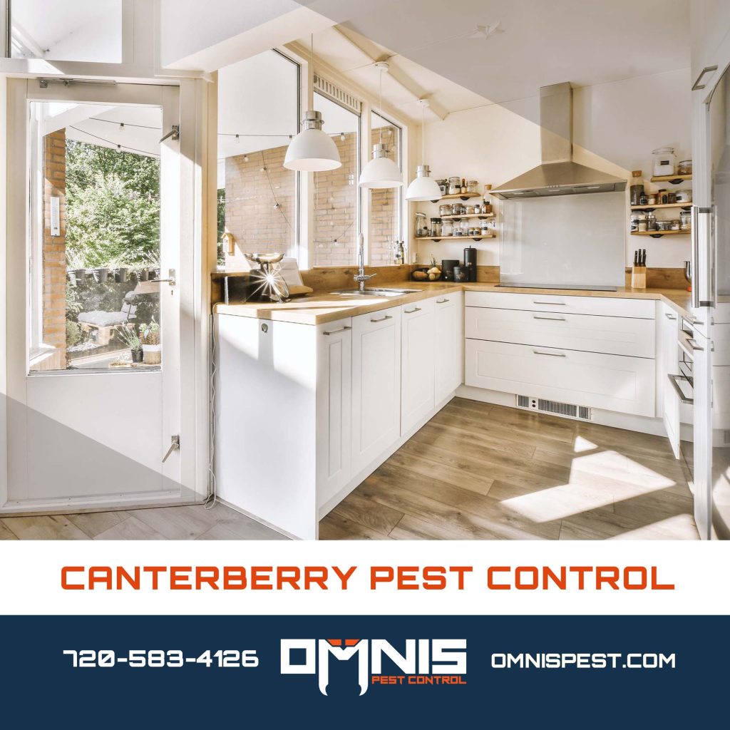 Pest Control in Canterberry Crossing Parker - OMNIS Pest Control