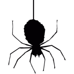 hanging spider from web are common in fall have OMNIS Pest Control removal both