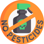 no pesticides on bee pollenating flowers and plants