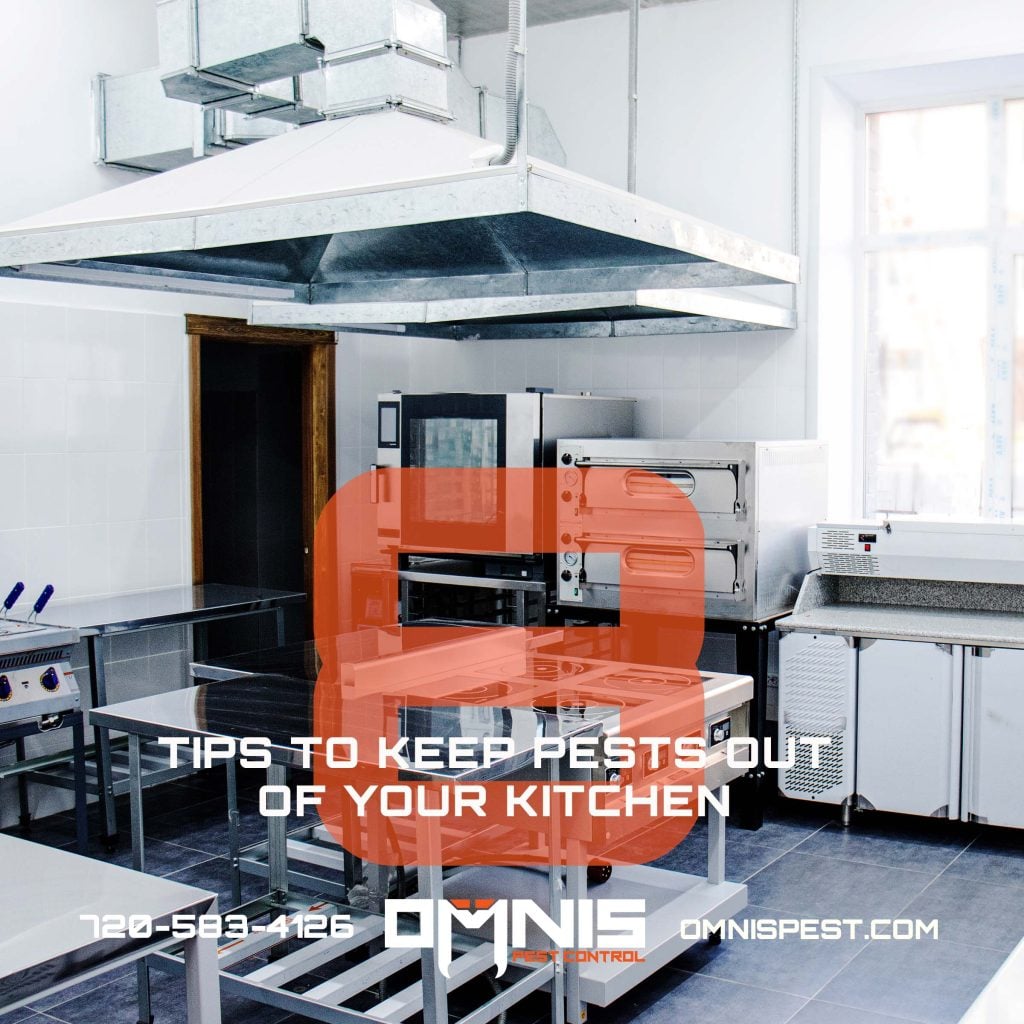 Keep Pests Out of Your Kitchen