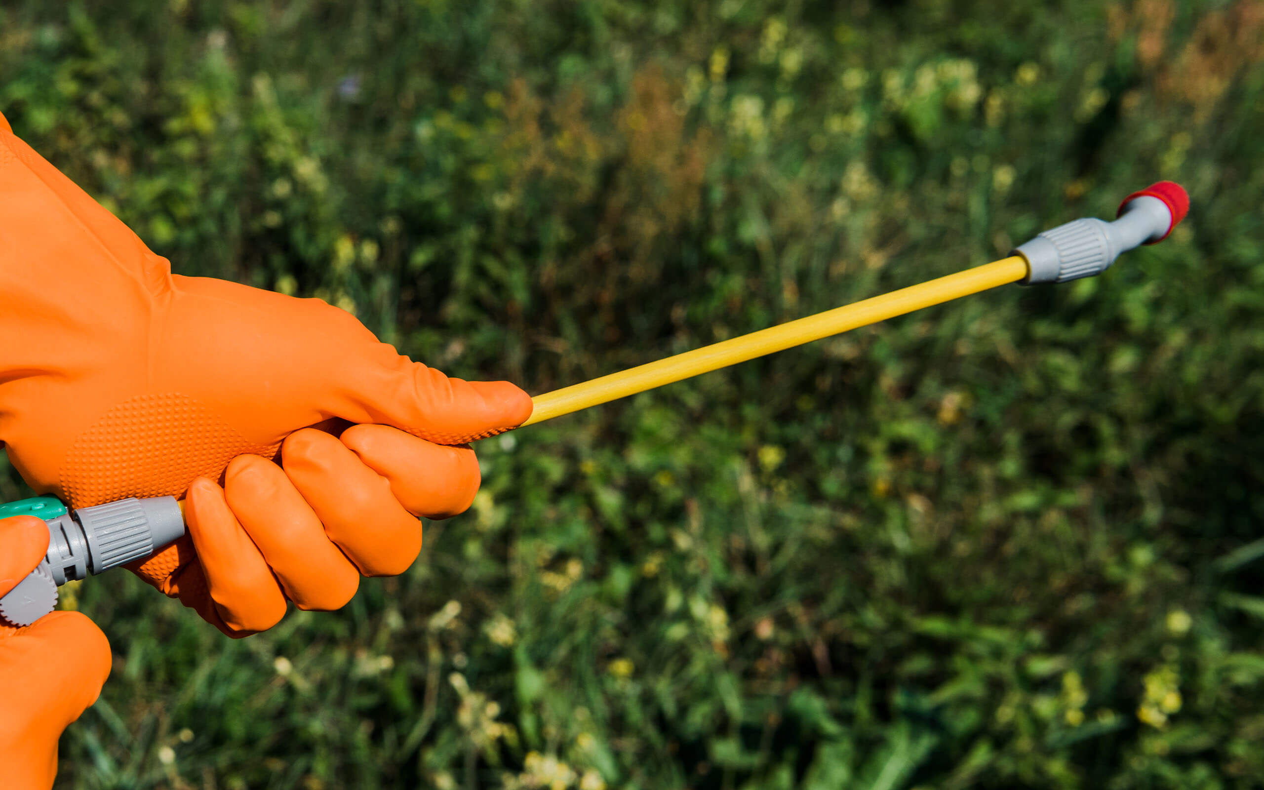 OMNIS pest control spray outside building to prevent insects from entering inside