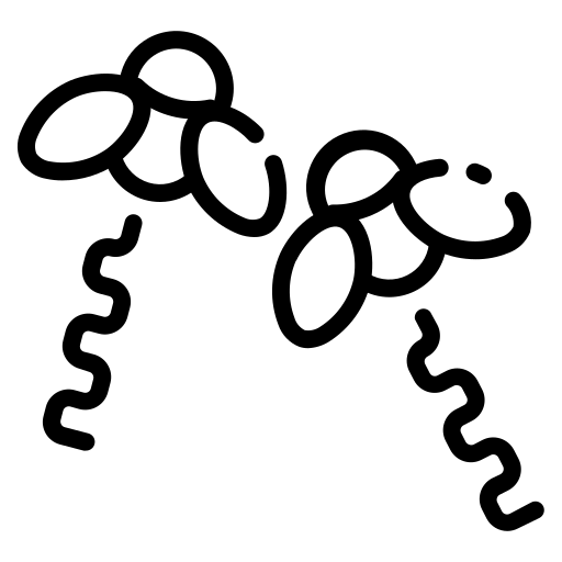 black line icon of two flies, simple, minimal