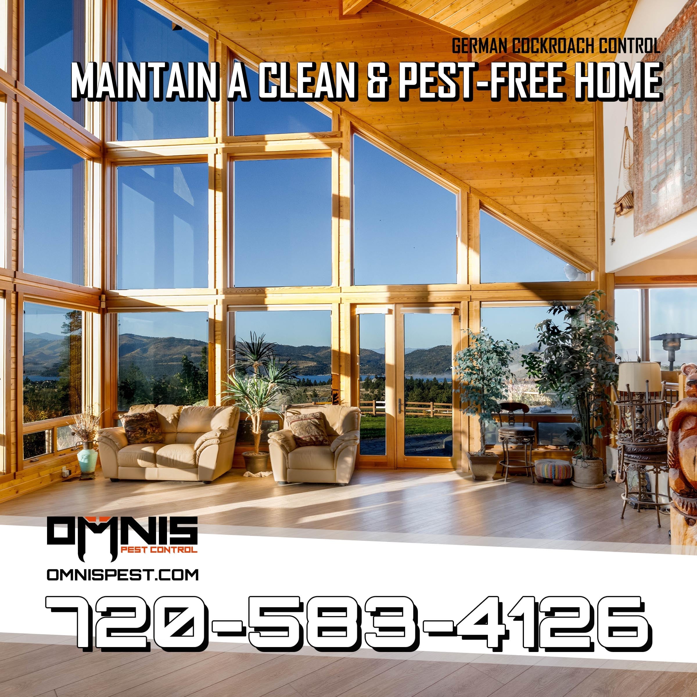 German cockroach with egg sac