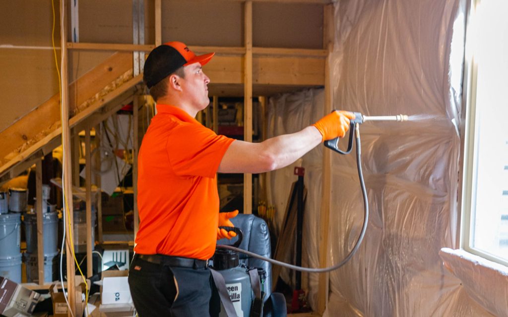 OMNIS pest control spraying basement remodel to prevent insects 1024x640 OMNIS pest control spraying basement remodel to prevent insects 1024x640