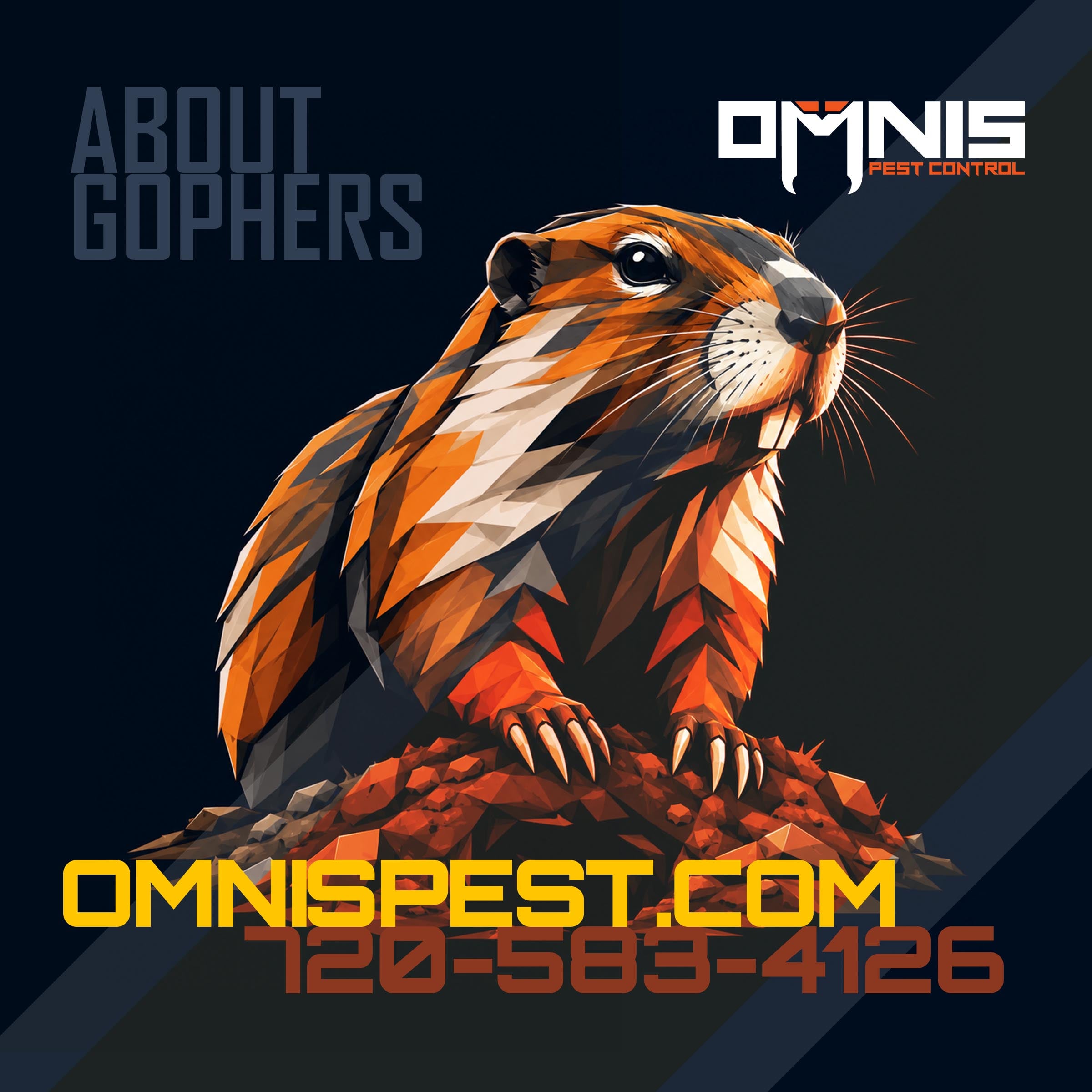 About Gophers